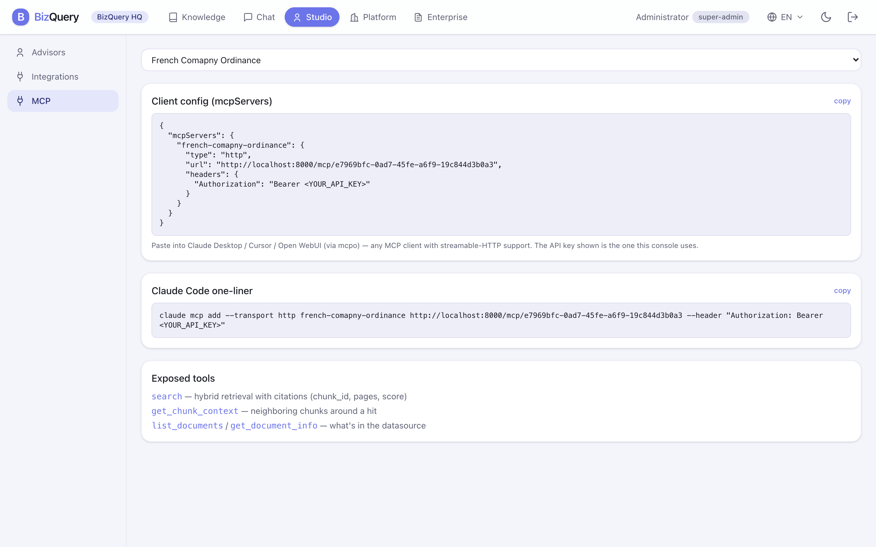 Screenshot des BizQuery-Studio-MCP-Servers
